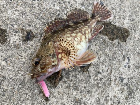 堤防でライトなショアジギングにRIDE O…