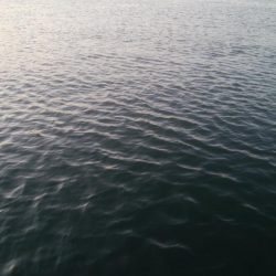 釣りデビュー　11日目