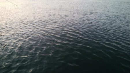 釣りデビュー　11日目