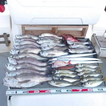 遊漁船SOUTH(サウス)釣果