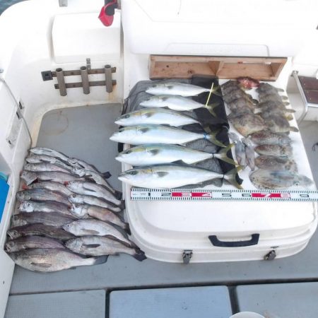 遊漁船SOUTH(サウス)釣果