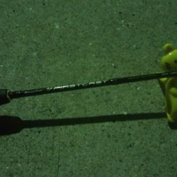 釣りデビュー 14日目