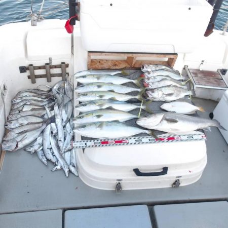 遊漁船SOUTH(サウス)12/5釣果