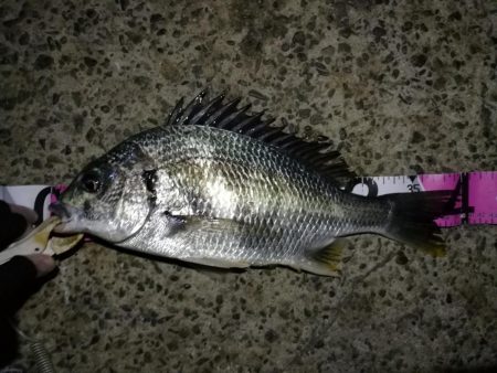 （2020/12/08 風の強い日の南港ヘ…