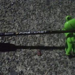 釣りデビュー　17日目