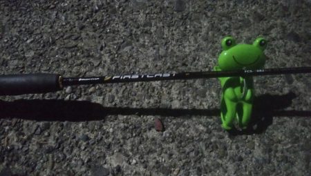 釣りデビュー　17日目