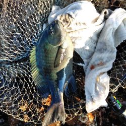 フカセ‥最高ですネ・・