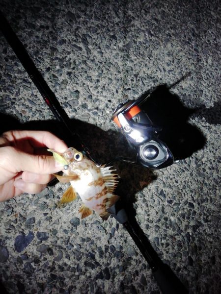 ジグ単アジング