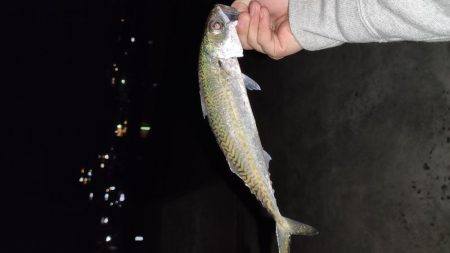 アジメバサバング