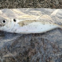 シーズン終盤で厳しいです。