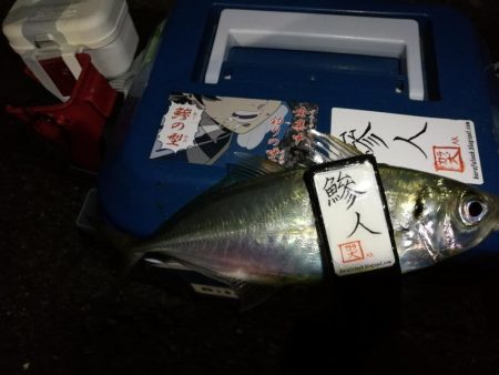 （2020/12/19 南港アジング　 強…