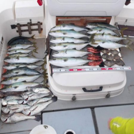 遊漁船SOUTH(サウス)釣果