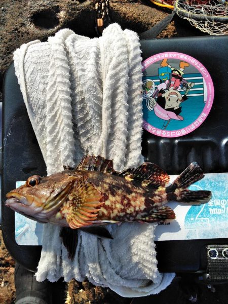 フカセ‥でハゲ・・