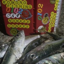 釣りデビュー 33日目