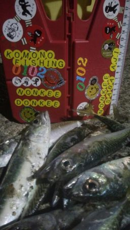 釣りデビュー 33日目