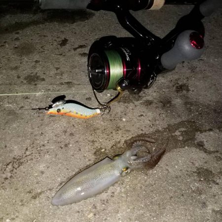 爆風の中のヒイカエギング