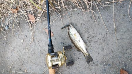 湖西小バス大漁