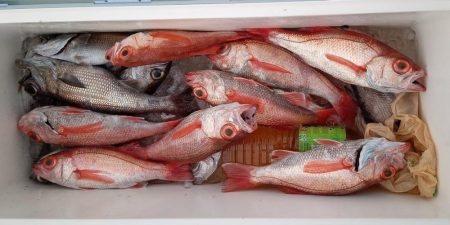 康仁丸・ジギング釣り果