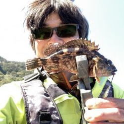 イカカラーのメタルトス!