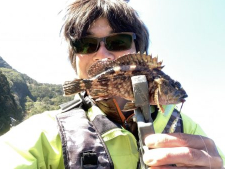 イカカラーのメタルトス!