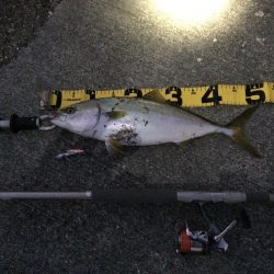 夕方のプチsalt water game!