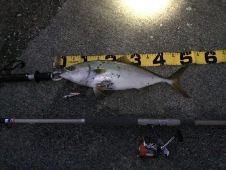 夕方のプチsalt water game！