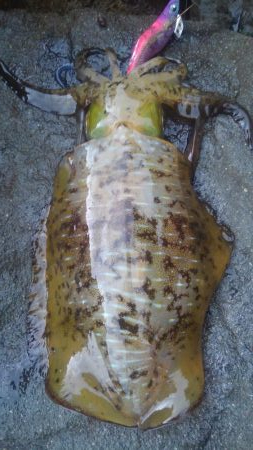 やっちまった～