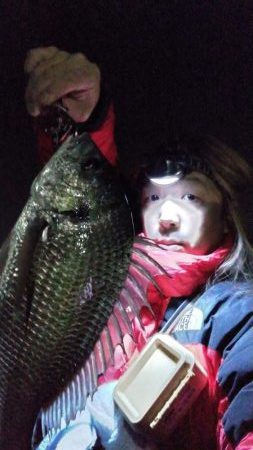 釣れるかなぁ?と釣り納めに