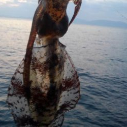 令和2年最後のエギング‼️