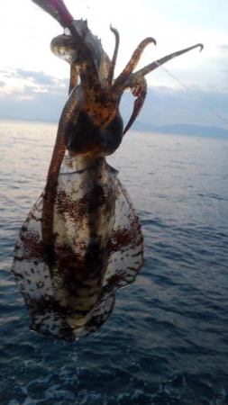 令和2年最後のエギング‼&#…