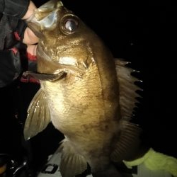 フロートゲーム