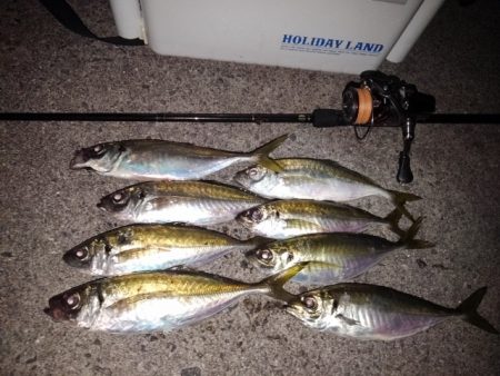 (尺アジ)フロートゲーム