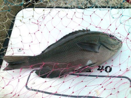 惜しいサイズ！