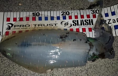 初キロアップならず