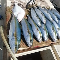 大物釣果速報！●光義丸