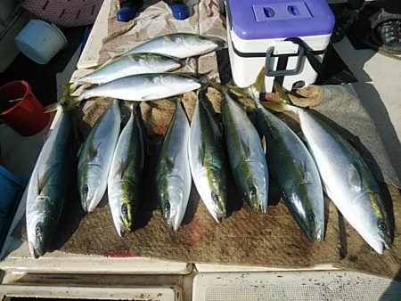 大物釣果速報！●光義丸：平戸市早福港