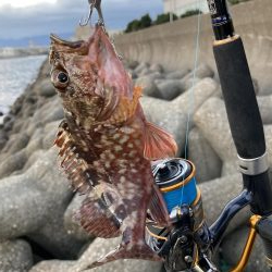 渋い　釣り納め