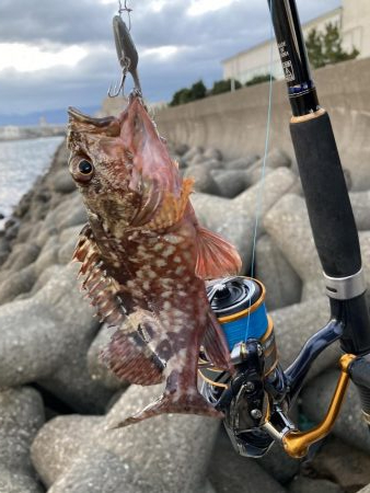 渋い　釣り納め