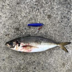 朝の地合い狙い