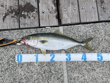 ショアジギング