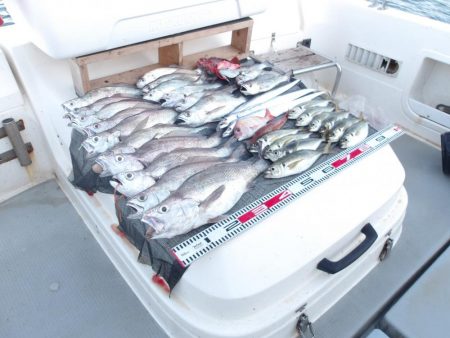 遊漁船SOUTH(サウス)釣果