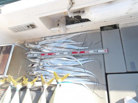 遊漁船SOUTH(サウス)12/7釣果