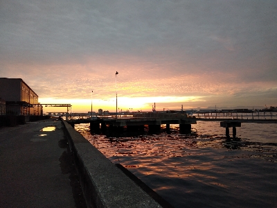 今年のシメはカサゴ君で