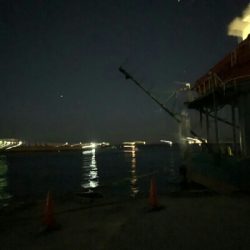 Humiliation（屈辱）