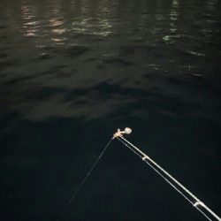 チャリ~ンチャリ~ンのにょろにょろ~