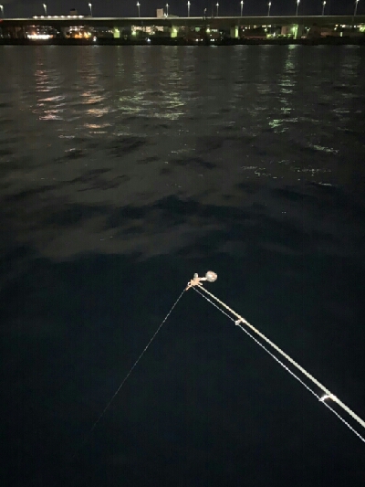 チャリ~ンチャリ~ンのにょろにょろ~