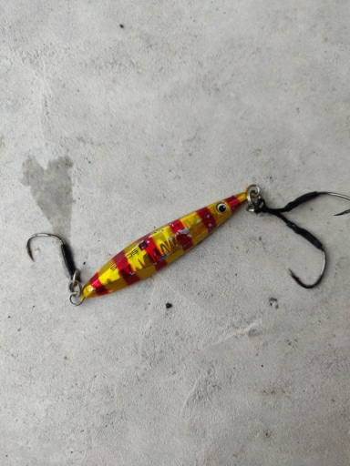 ショアアマダイ