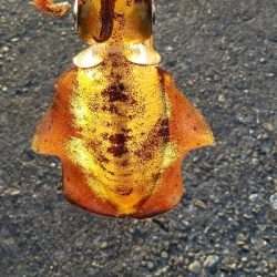 エギング 今年は終わりかな?