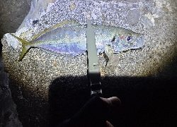 フロートアジング