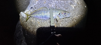 フロートアジング